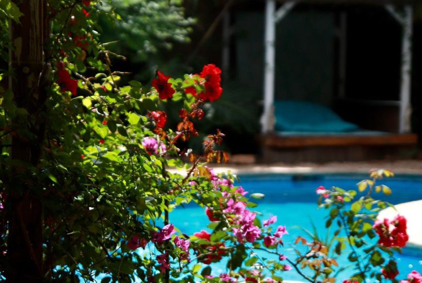 551122661_10162139911068105_8318405512968186272_n