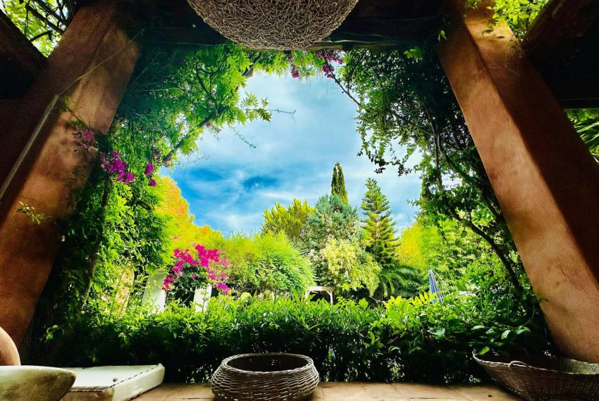 553086919_10162139911603105_6304387574625252521_n