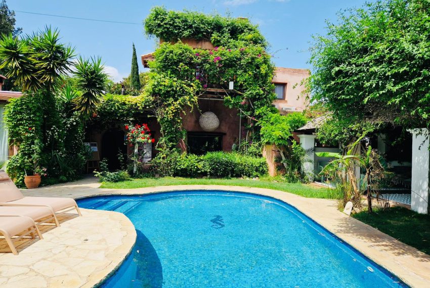 554236964_10162139910998105_7495207917184037664_n