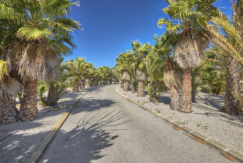 Nacho Dorado Photographer